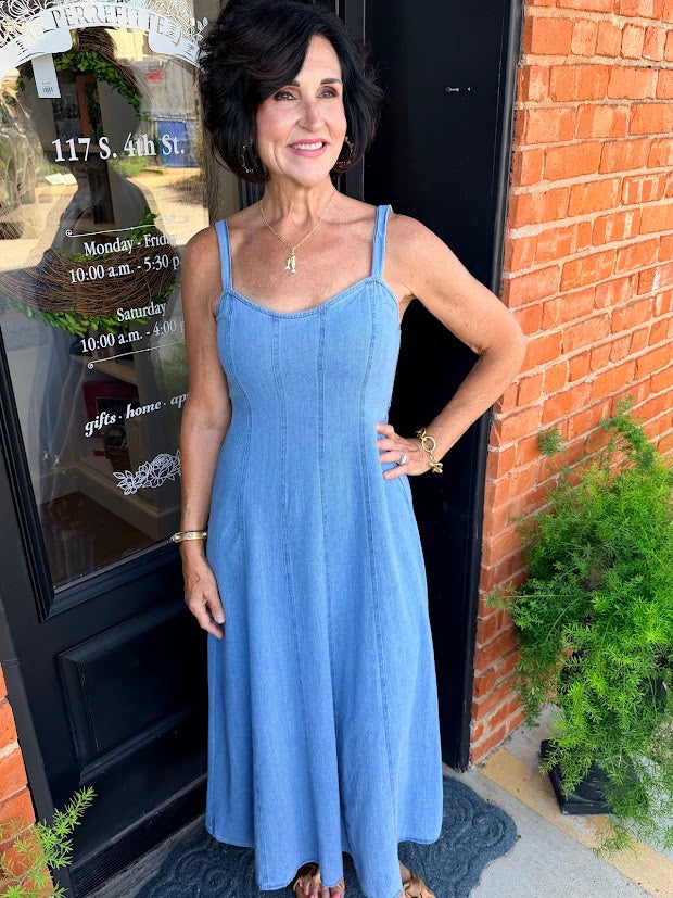 Z Supply Leonora Indigo Midi Dress Classic Indigo / M