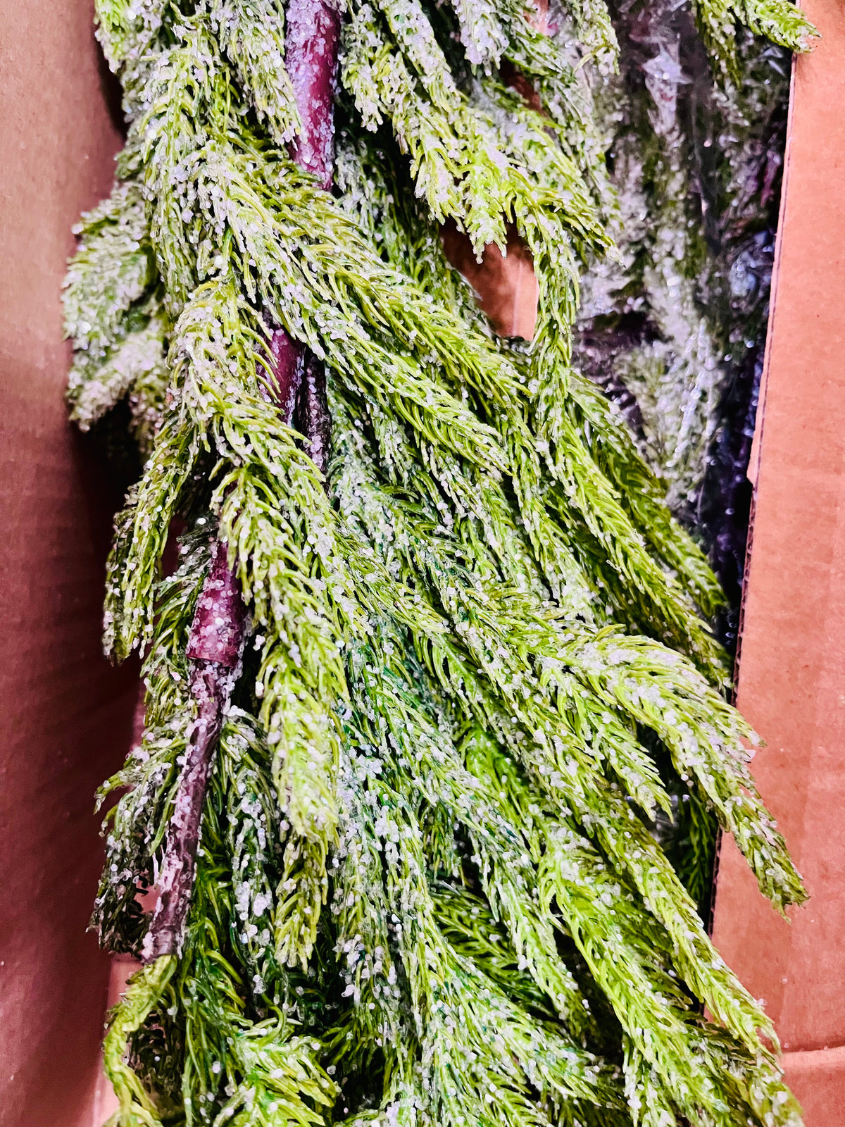 48" Iced Garden Norfolk Pine Garland