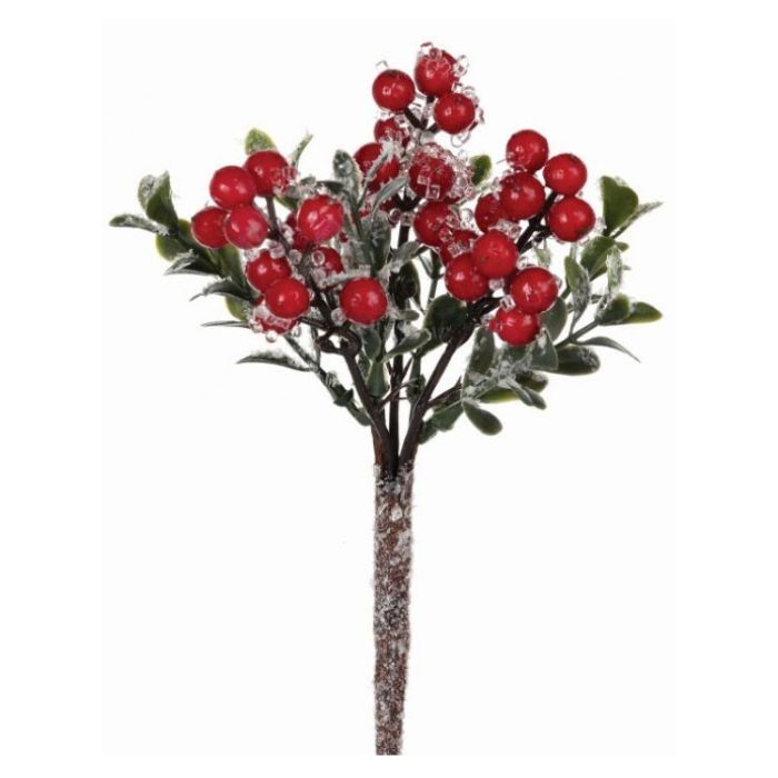 Iced Berry Boxwood