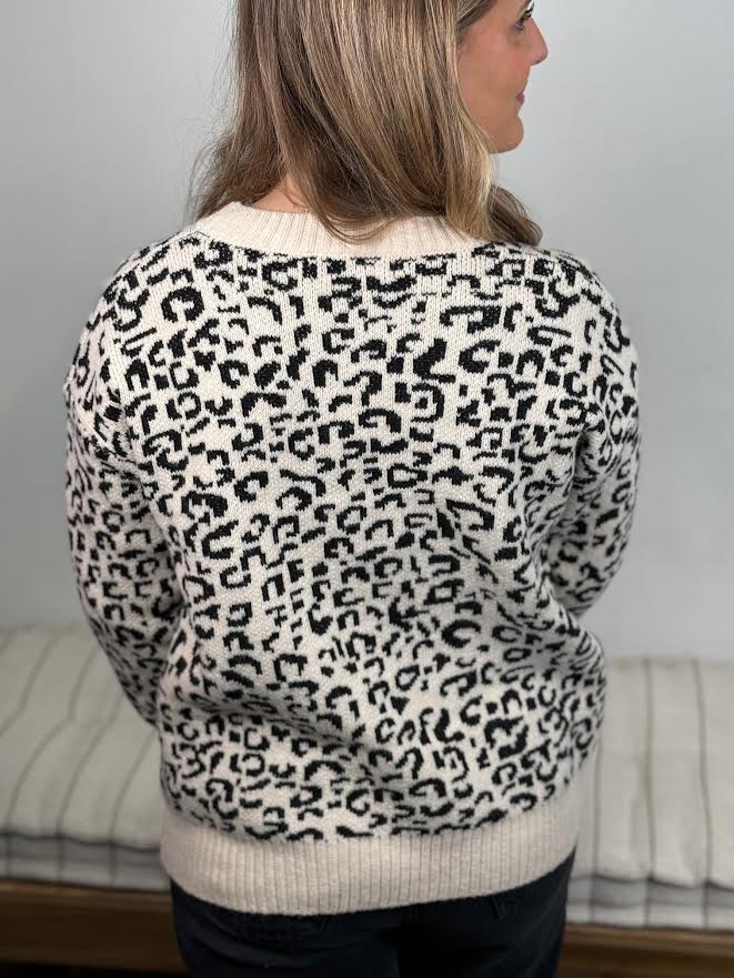 Leopard With Contrasting Trim