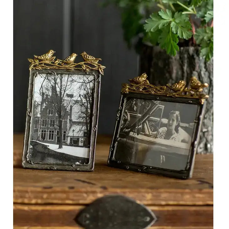 Pewter Frame with Gold Leaf Birds