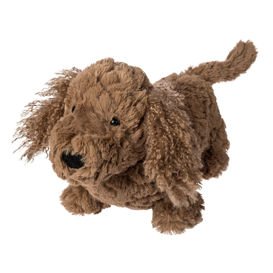 Putty Dachshund Dexter