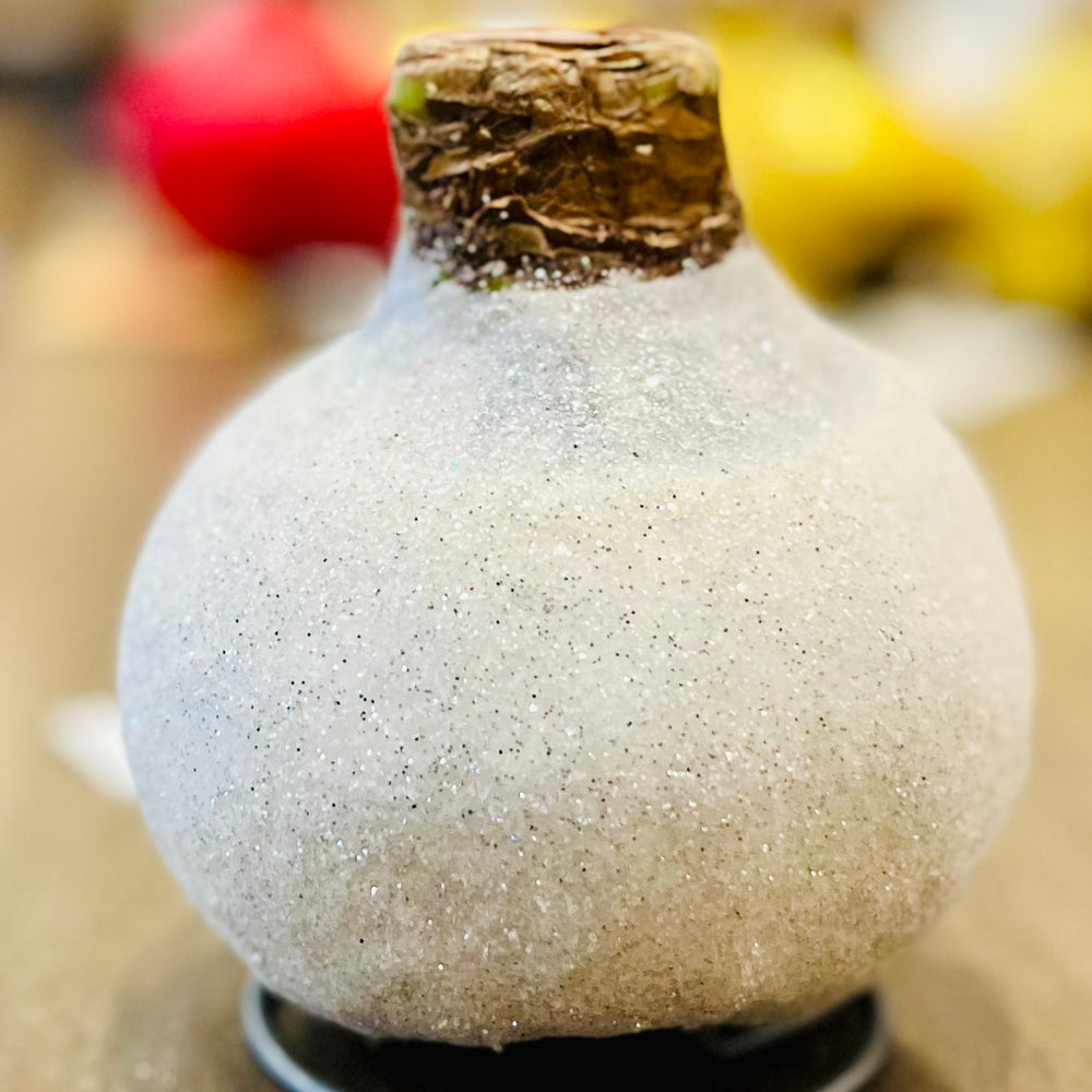 
                      
                        Glitter Waxed Amaryllis Bulbs
                      
                    