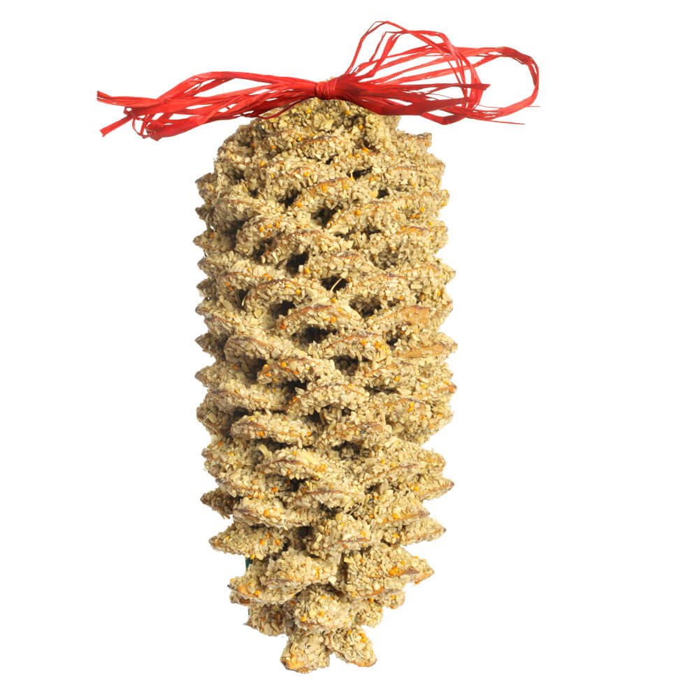 Pinecone Bird Feeder