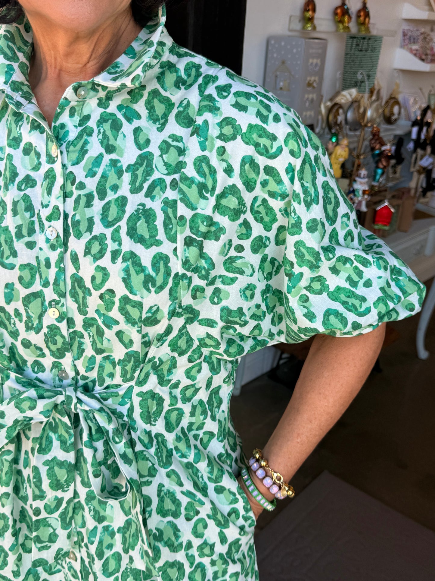 Leona Leopard Print Dress