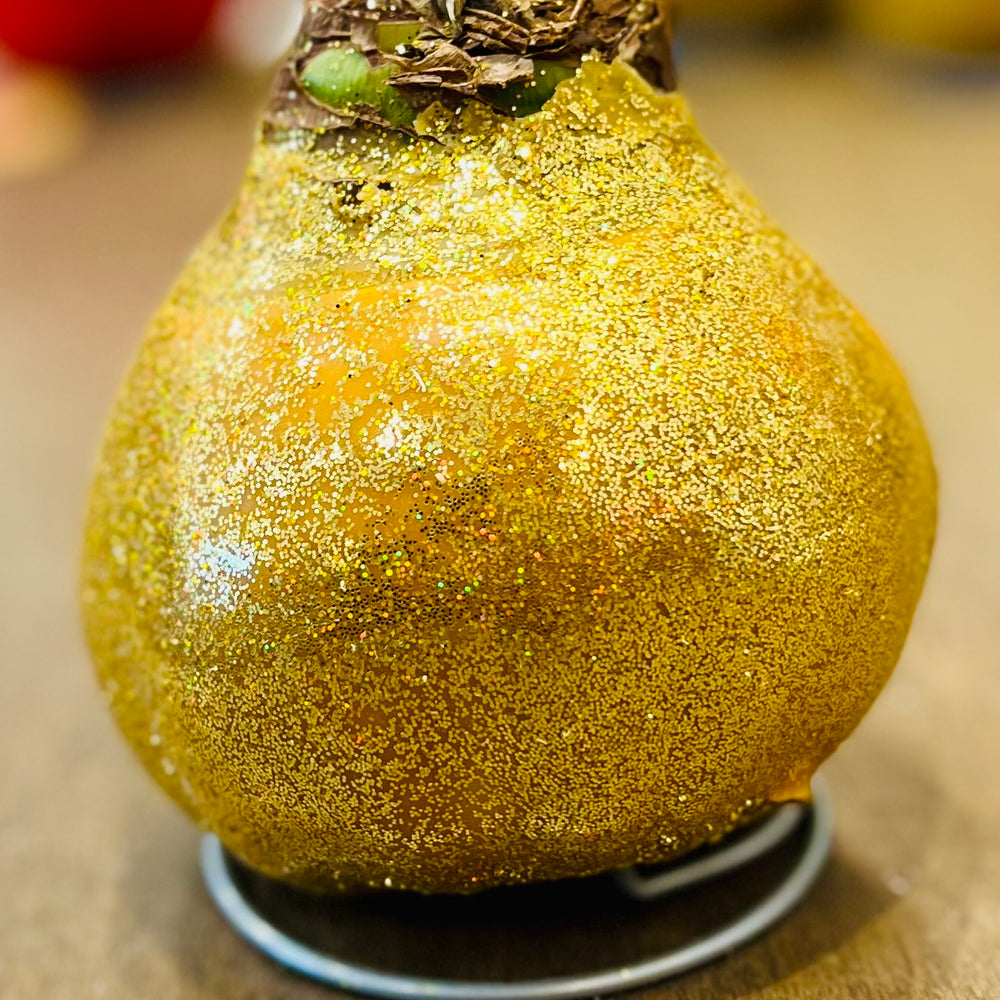 
                      
                        Glitter Waxed Amaryllis Bulbs
                      
                    