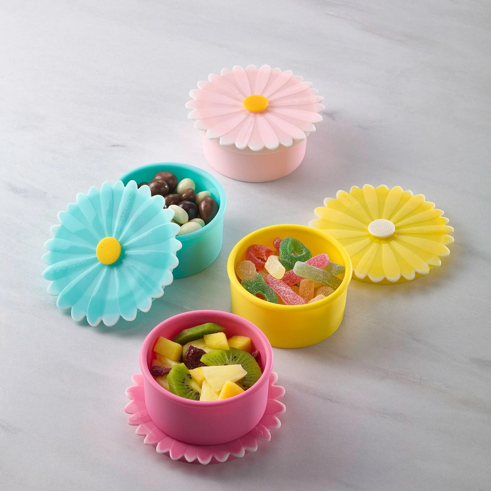
                      
                        Set of 4 Daisy Containers
                      
                    