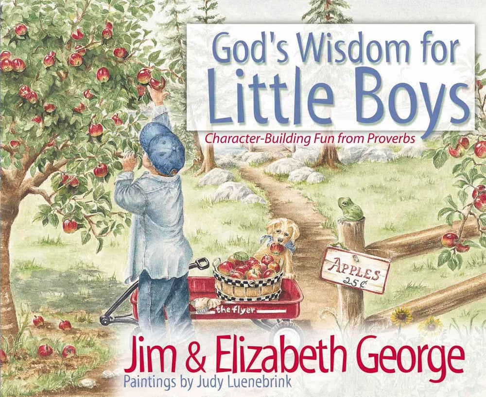 God's Wisdom for Little Boys(CL)