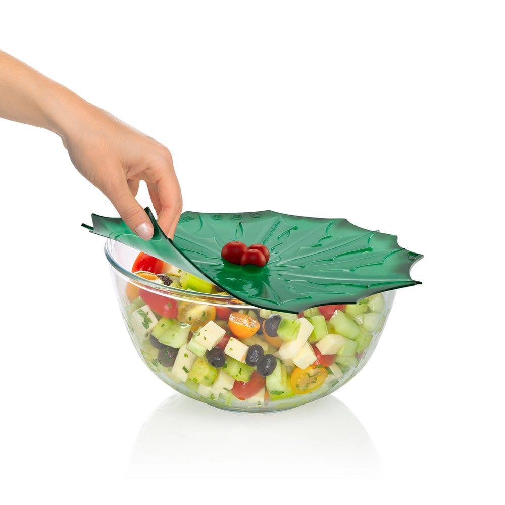 
                      
                        9" Holly Airtight Lid
                      
                    