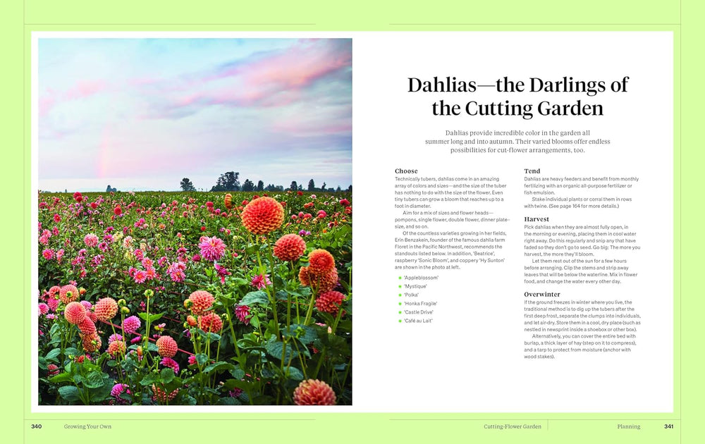 
                      
                        Martha Stewart's Gardening Handbook
                      
                    