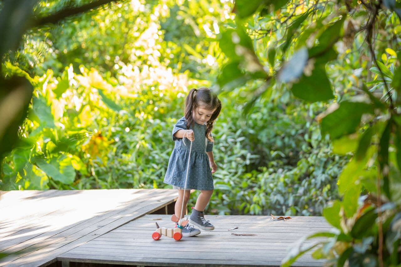 Happy Puppy Pull-Along Toy