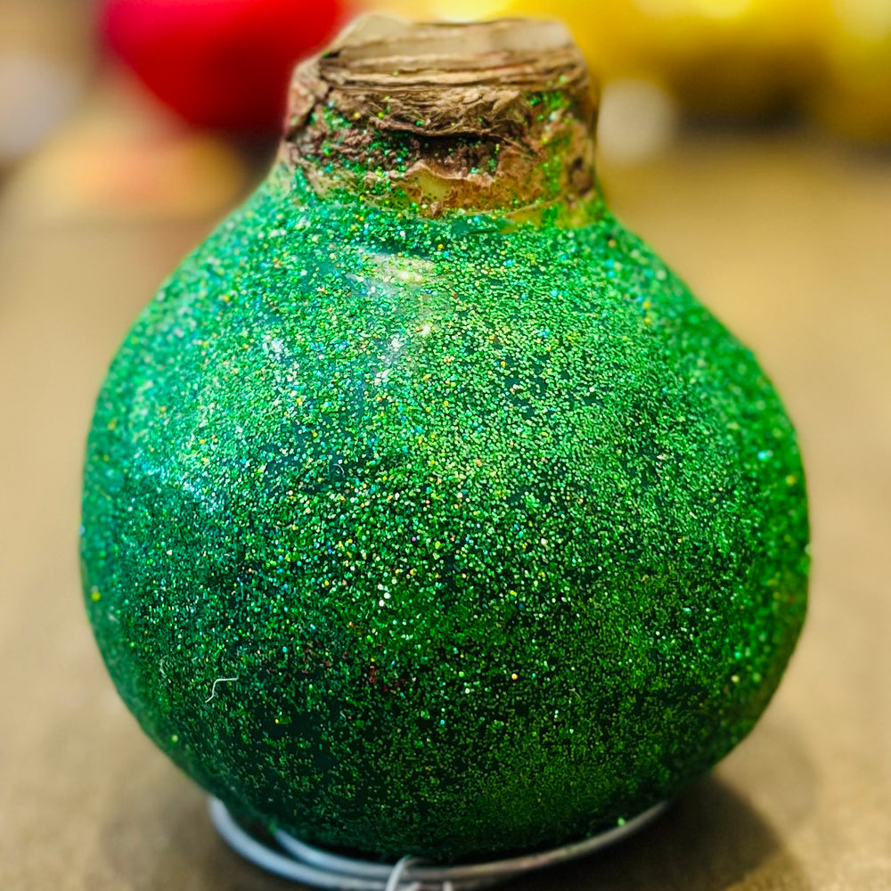 
                      
                        Glitter Waxed Amaryllis Bulbs
                      
                    