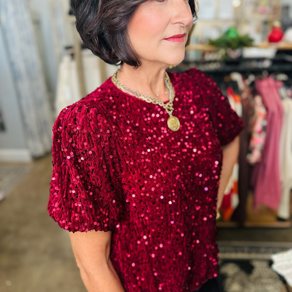 Festive Velvet Sequin Top