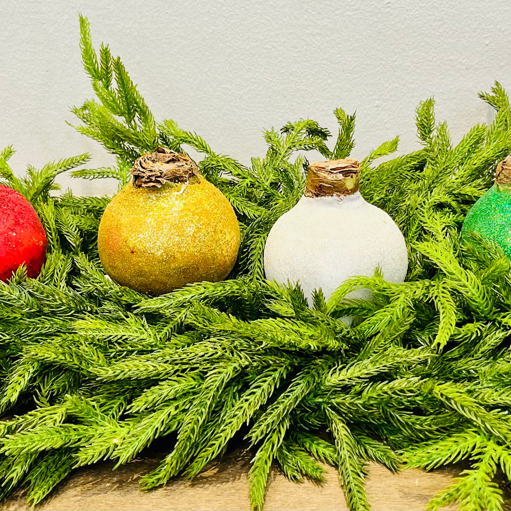 Glitter Waxed Amaryllis Bulbs