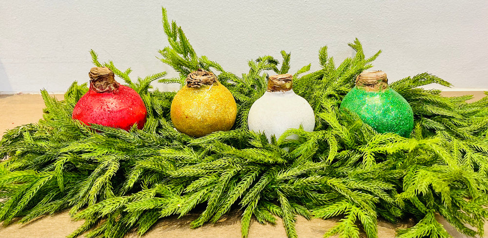 Glitter Waxed Amaryllis Bulbs