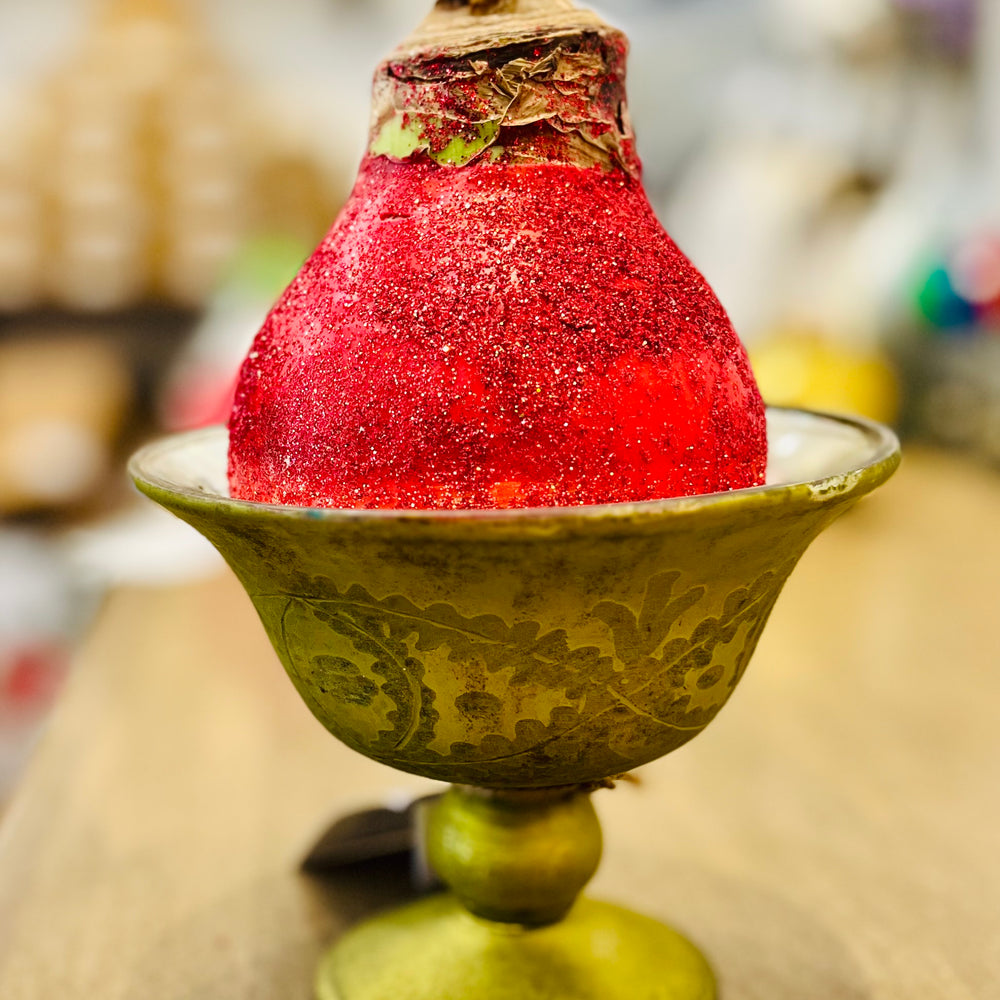 
                      
                        Glitter Waxed Amaryllis Bulbs
                      
                    