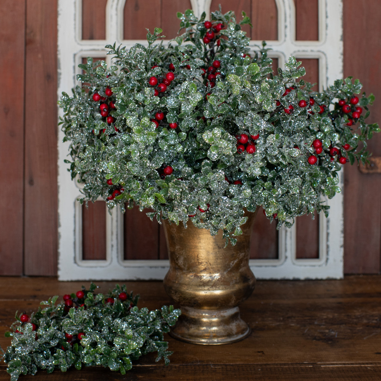 Boxwood Red Berry Pick