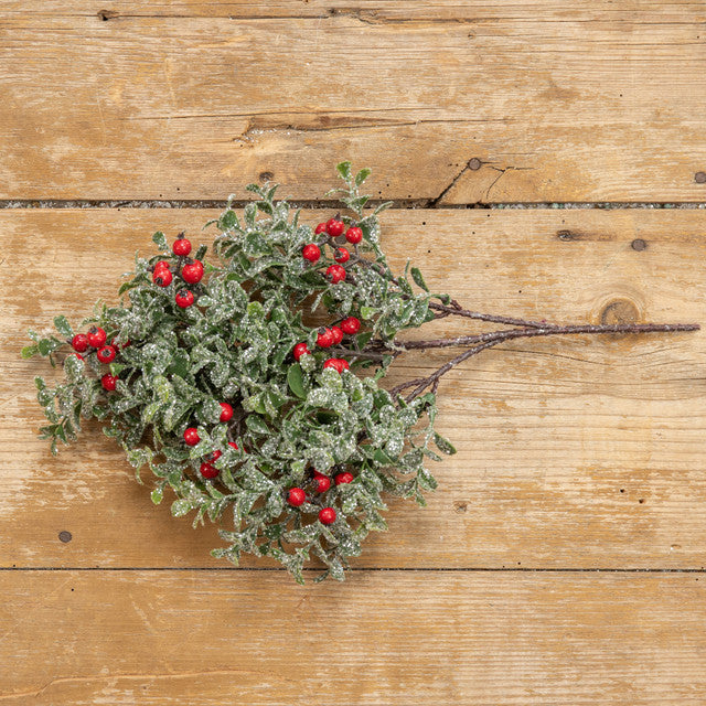 Boxwood Red Berry Pick