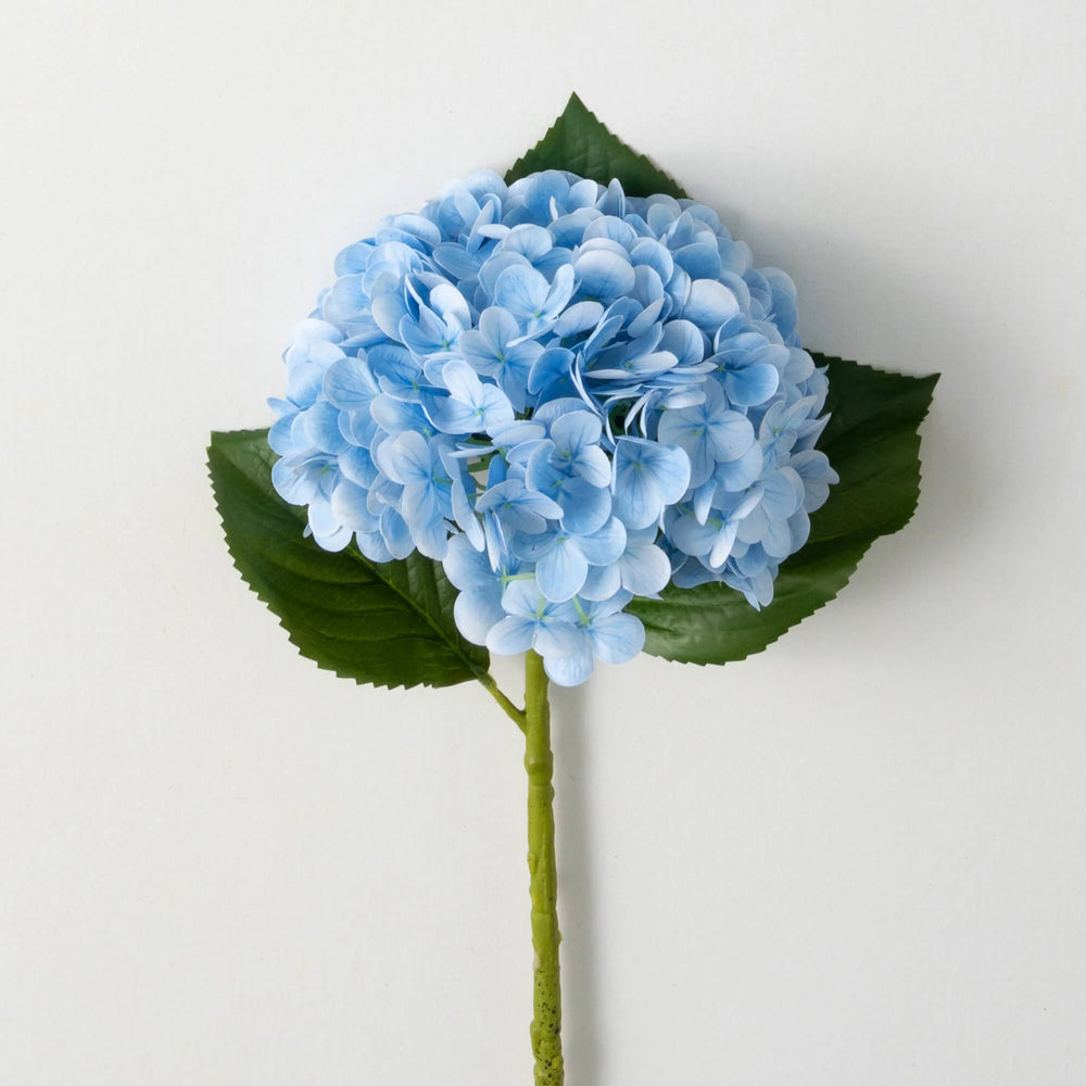 Fresh Cut Blue Hydrangea