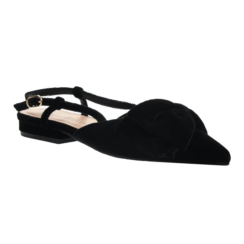 
                      
                        Black Velvet Shoe
                      
                    