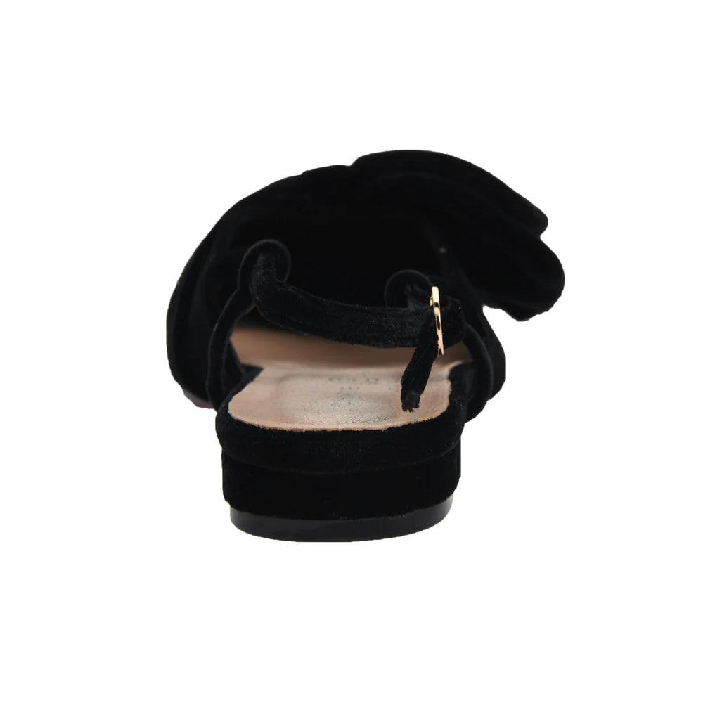 
                      
                        Black Velvet Shoe
                      
                    