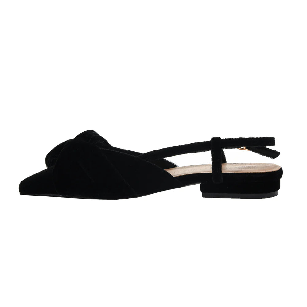 
                      
                        Black Velvet Shoe
                      
                    