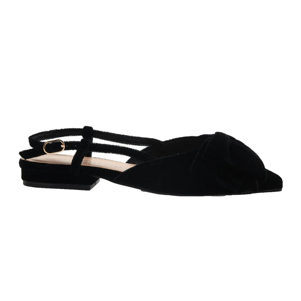 
                      
                        Black Velvet Shoe
                      
                    