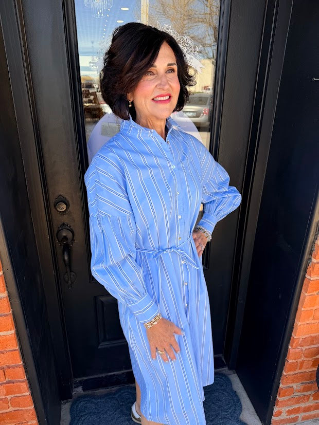 Sierra Striped Shirt Dress