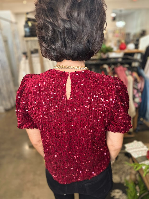 
                      
                        Burgundy Velvet Sequin Top
                      
                    