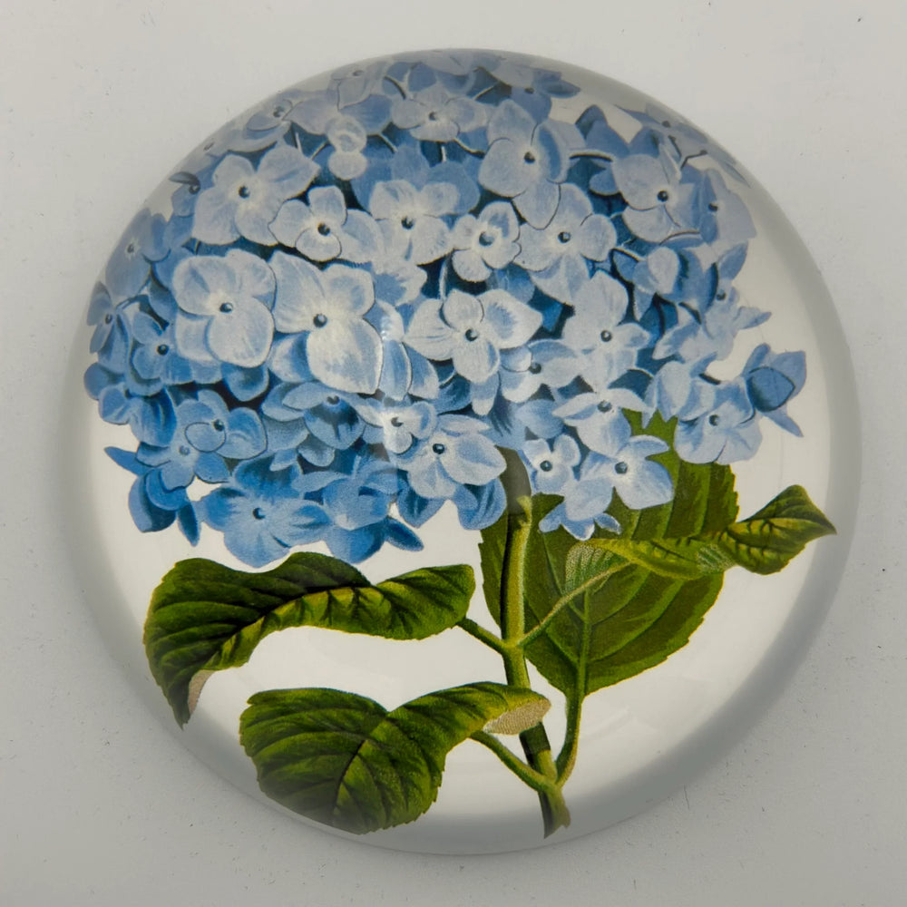 Blue Hydrangea Paperweight
