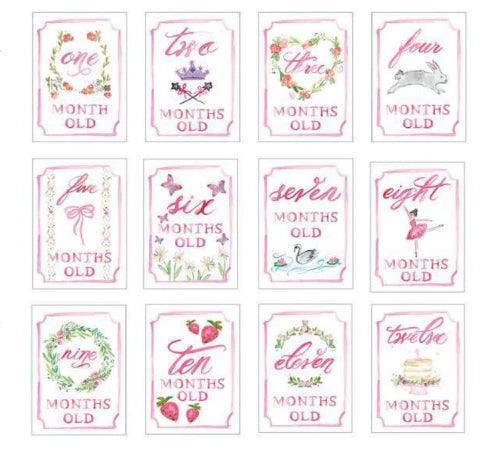 Pink Monthly Milestone Card Set