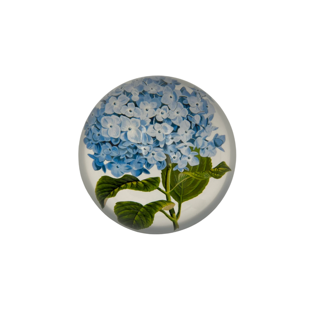 Blue Hydrangea Paperweight