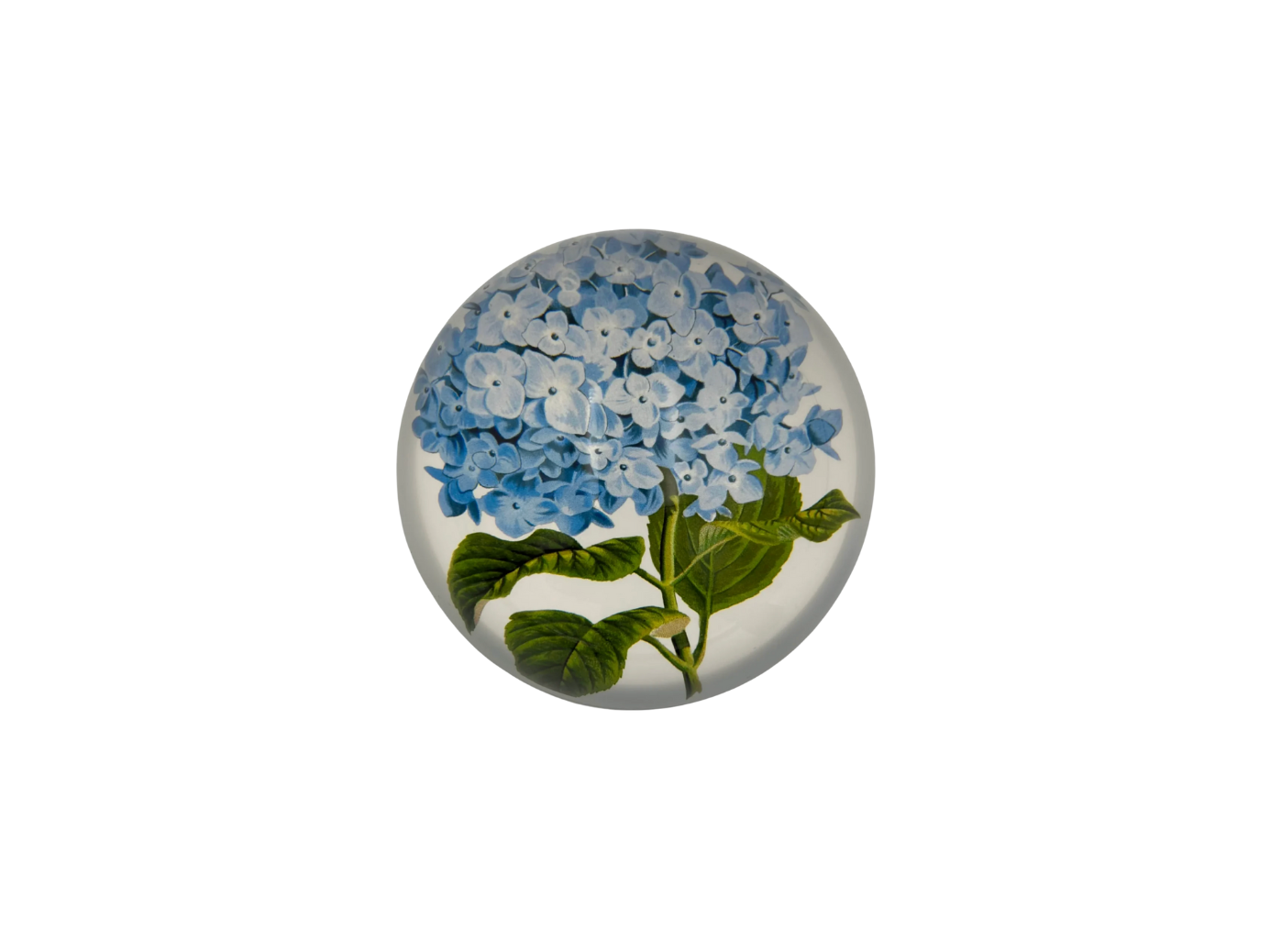 Blue Hydrangea Paperweight