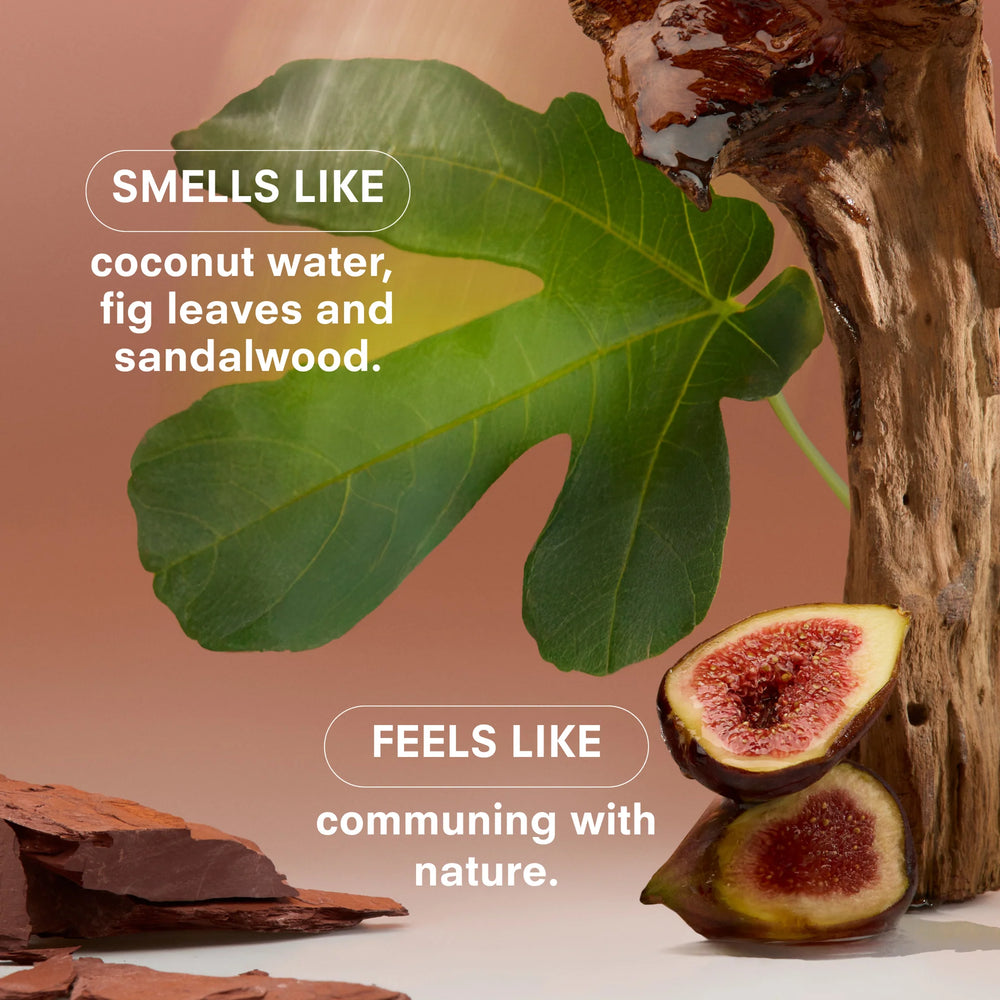 
                      
                        Boy Smells Woodphoria Candle
                      
                    