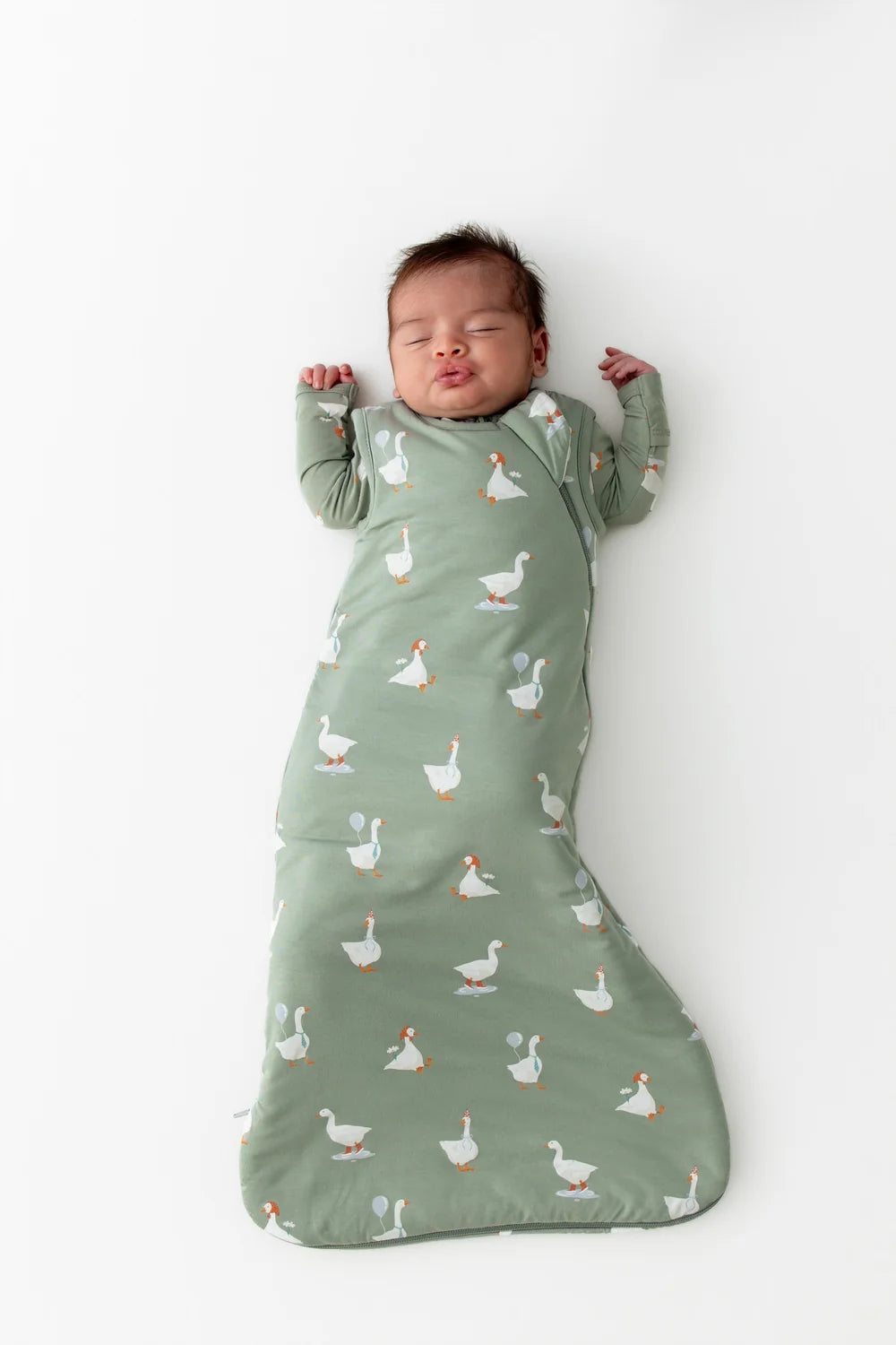 Kyte Baby  Silly Goose Sleep Bag