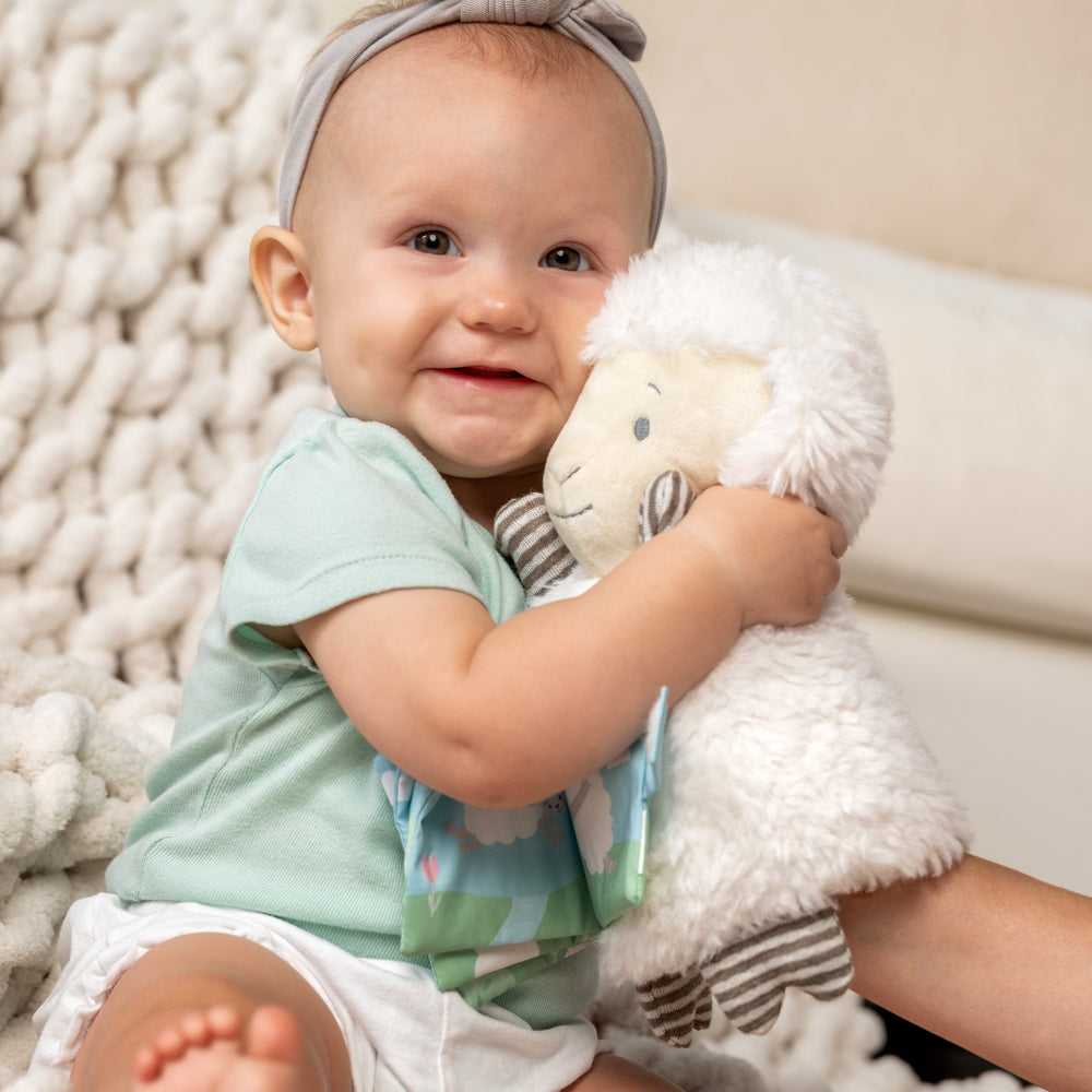 
                      
                        Jesus Loves Me Plush Puppet Book
                      
                    