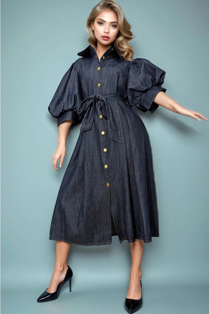 Oakley Denim Puff Sleeve Dress