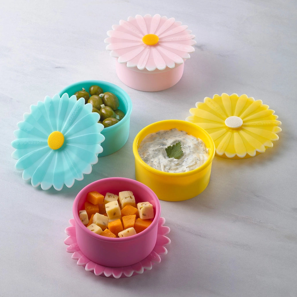Set of 4 Daisy Containers