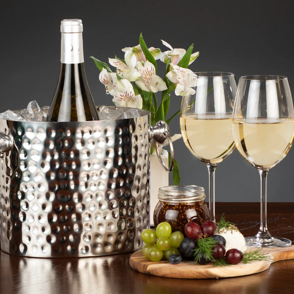 Wine bottle chiller-single