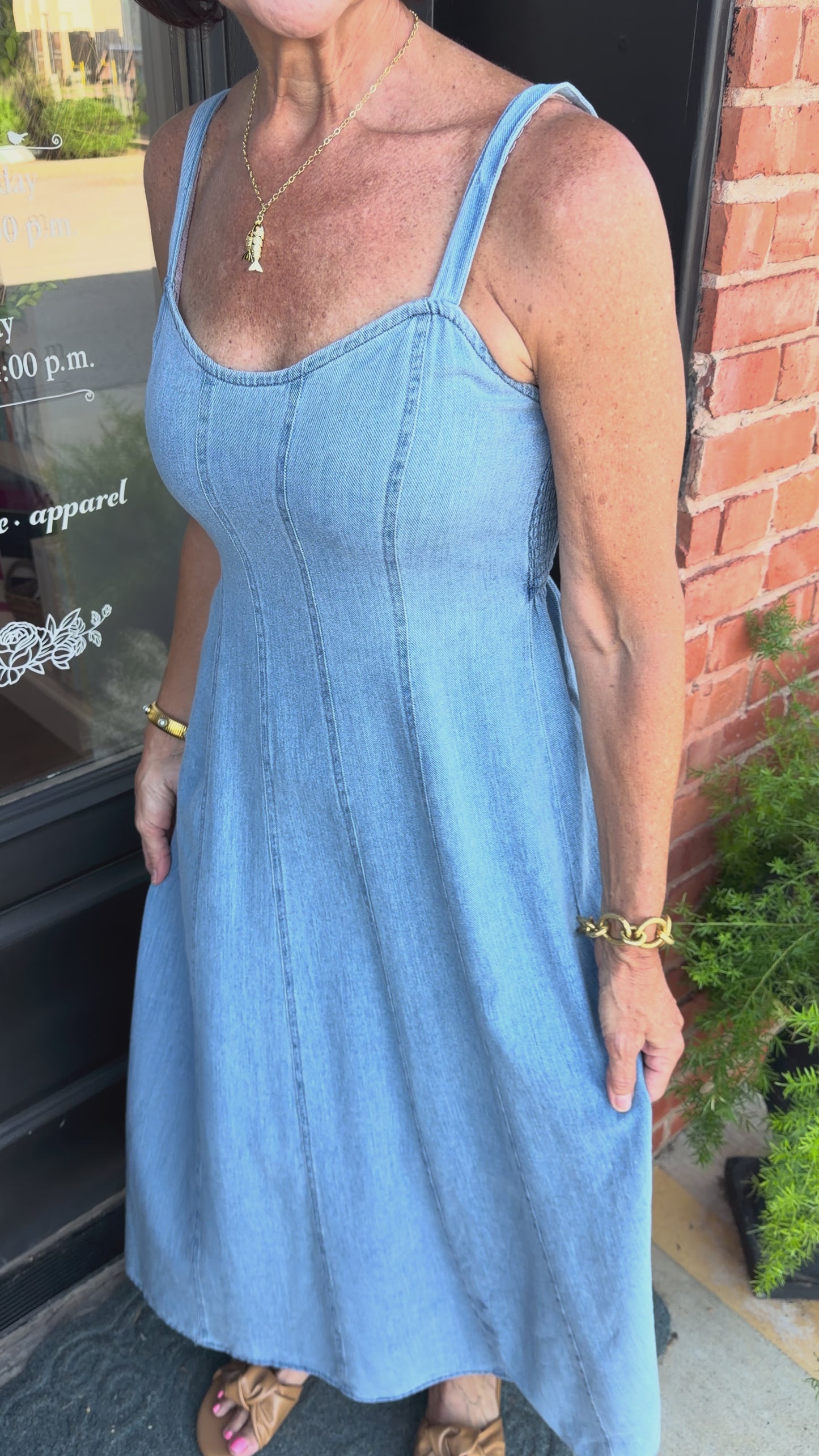 Z Supply Leonora Indigo Midi Classic Dress
